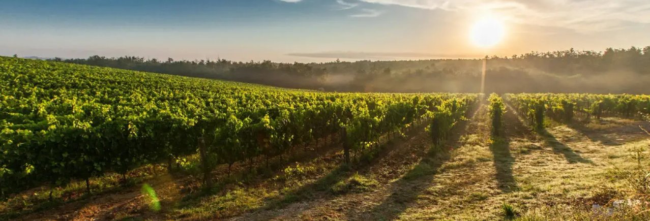 Redwood Rocket Web Design working hours