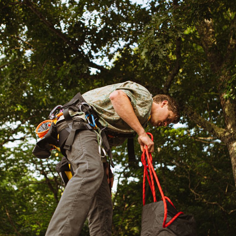 Tree service crew member working in a tree