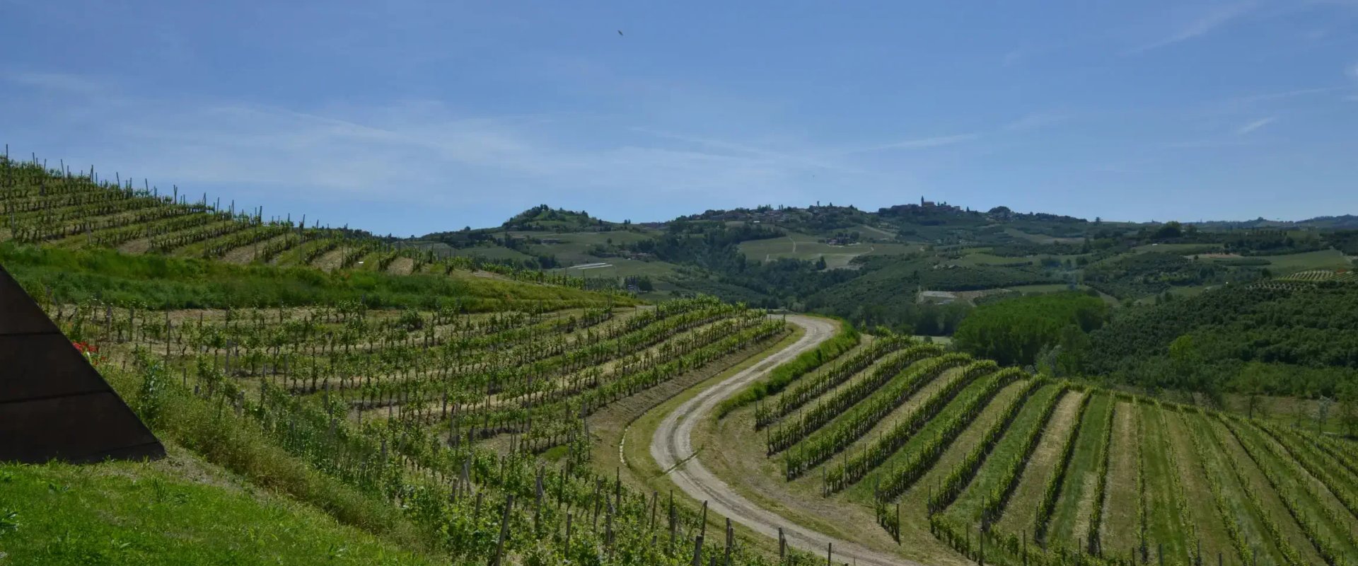 Wine Country landscape in Sonoma County, California