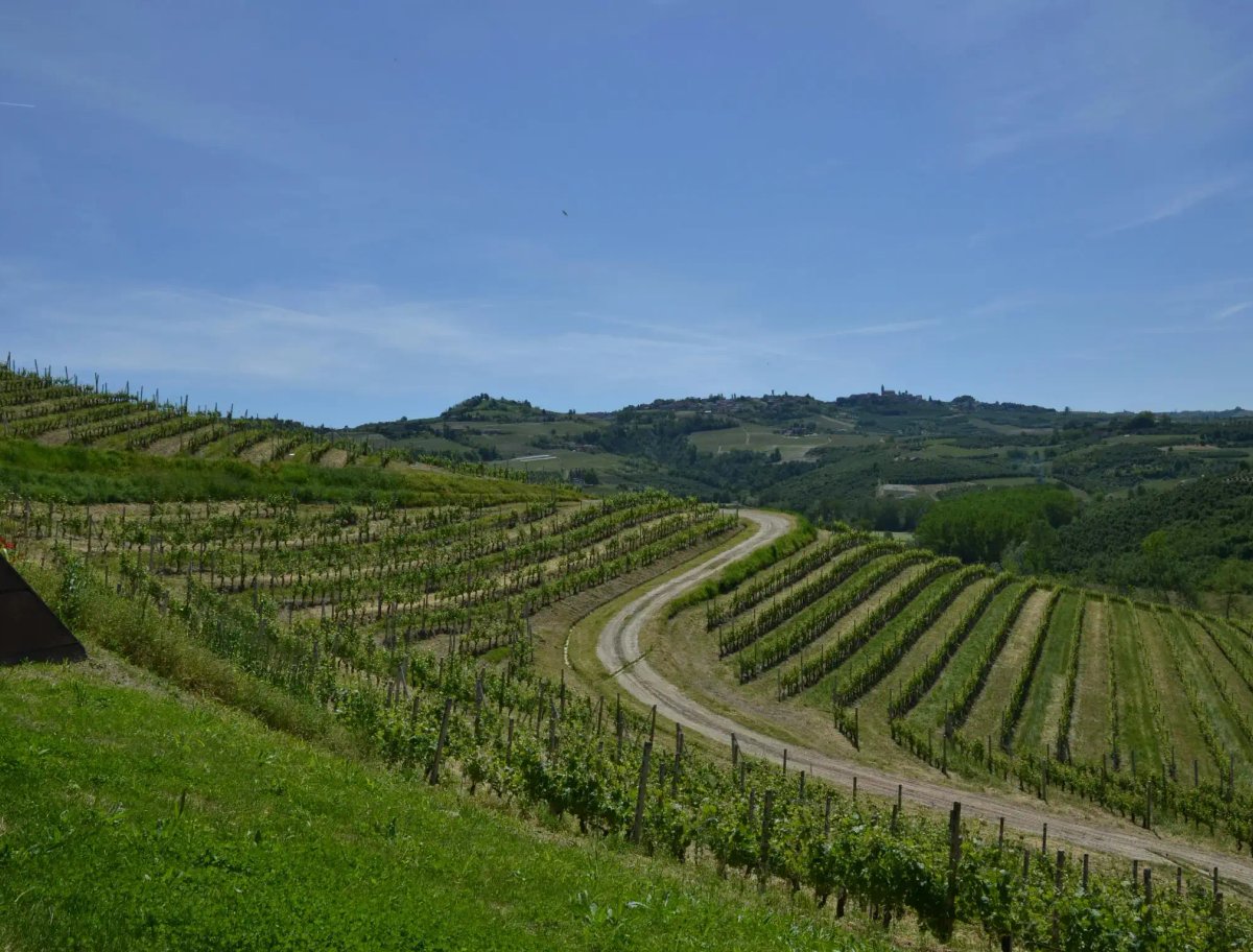 Wine Country landscape in Sonoma County, California